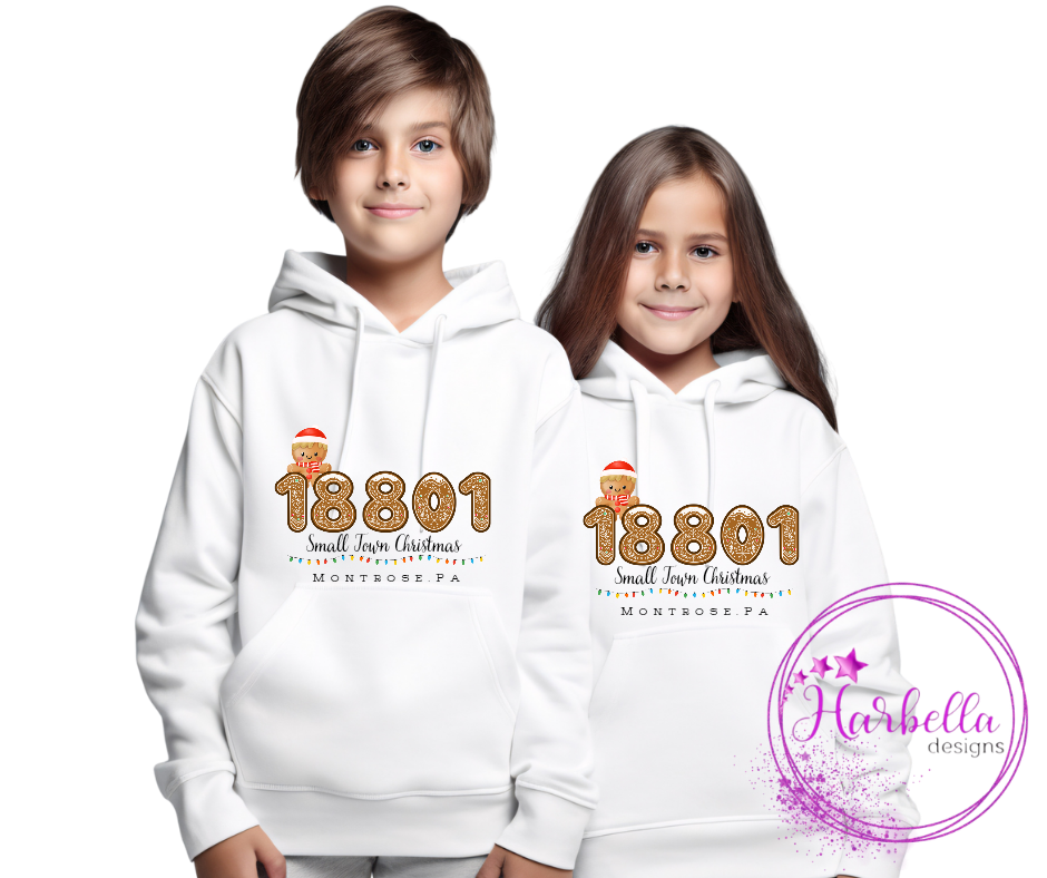 🎄 Small Town Christmas in Montrose Pa